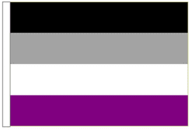 Asexual Ace Pride 18" x 12" (45cm x 30cm) Sleeved Boat Flag