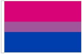 Bisexual Bi Pride 18" x 12" (45cm x 30cm) Sleeved Boat Flag