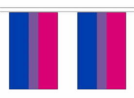 Bisexual Bi Pride LGBTQ+ 10m Flag Bunting