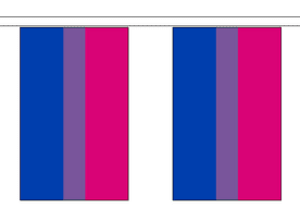 Bisexual Bi Pride LGBTQ+ 5m Flag Bunting