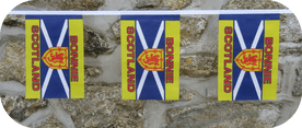 Bonnie Scotland Flag Bunting
