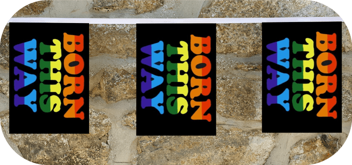 Born This Way LGBTQ+ Pride Flag Bunting