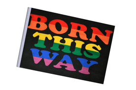 Born This Way LGBTQ+ Small Craft Flag