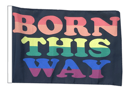 Born This Way Pride 18" x 12" (45cm x 30cm) Sleeved Boat Flag