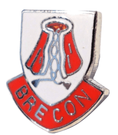 Brecon Town Pin Badge