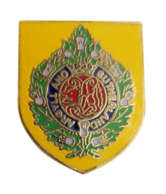 British Army Argyll and Sutherland Highlanders (Princess Louise's) Pin Badge - MOD Approved - M61