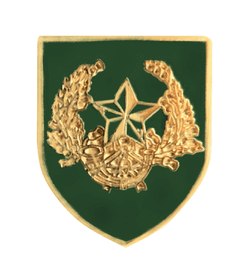 British Army Cameronians (Scottish Rifles) Pin Badge - MOD Approved - M59