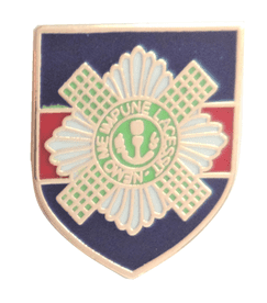 British Army Scots Guards Pin Badge - MOD Approved - M11