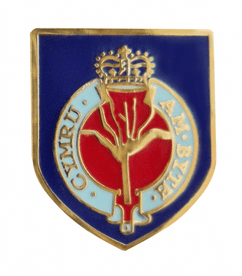 British Army Welsh Guards (Gwarchodlu Cymreig) Pin Badge - MOD Approved