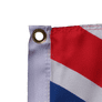 British Virgin Islands Polyester Flag