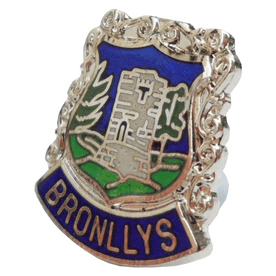 Bronllys Castle Pin Badge