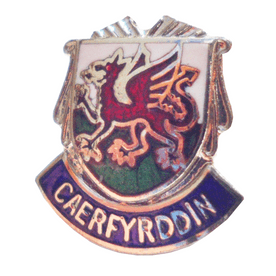 Caerfyrrddin (Carmarthen) Town Pin Badge