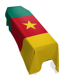 CAMEROON FLAG PREMIUM COFFIN DRAPE (MADE TO ORDER)