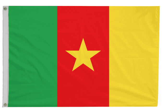 Cameroon Flag with Eyelets