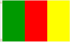 Carlow GAA Colours Ireland Polyester Flag