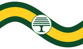 CATERHAM TOWN FLAG PREMIUM COFFIN DRAPE (MADE TO ORDER)