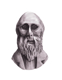 Charles Darwin Small Pewter Pin Badge - LP1063