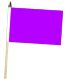 CHECKS & COLOUR LARGE HAND WAVING FLAGS