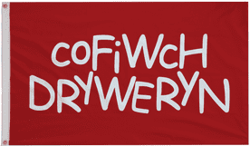 Cofiwch Dryweryn Polyester 5'x3' Flag