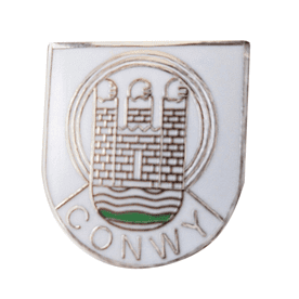 Conwy Pin Badge