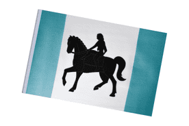 Coventry City Small Craft Flag