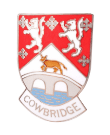 Cowbridge Town Pin Badge