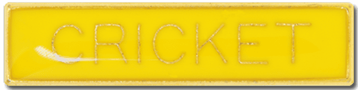 Cricket Small Bar Yellow Pin Badge
