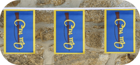 Cumann na mBan CnamB Flag Bunting