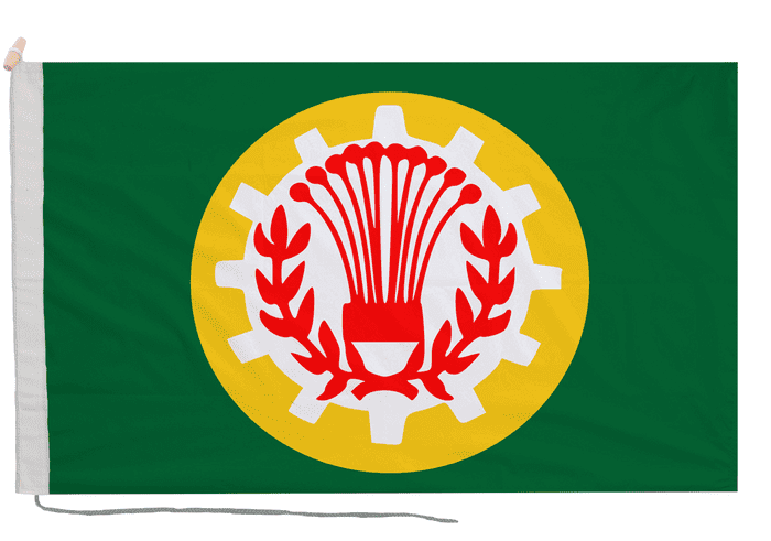 Dakahlia Governorate Egypt Flag with Rope & Toggle