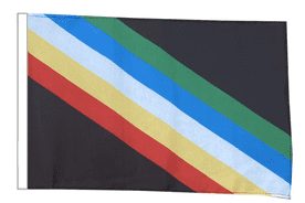 Disability Pride 18" x 12" (45cm x 30cm) Sleeved Boat Flag