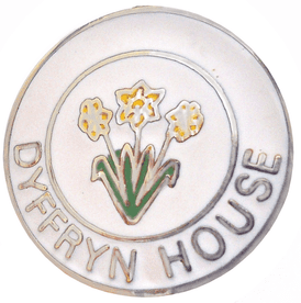 Dyffryn House Pin Badge