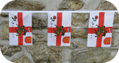 ENGLAND NATIONAL BUNTING