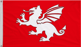 England White Dragon Polyester Flag