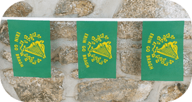 Erin Go Bragh Flag Bunting