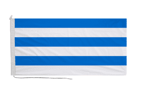 Estonia Capital City Tallinn Flag with Rope & Toggle