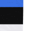 Estonia Flag with Eyelets