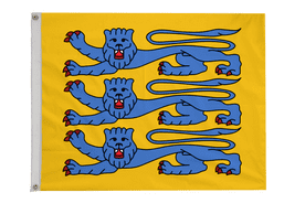 Estonian Military Flag with Eyelets