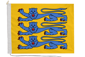 Estonian Military Flag with Rope & Toggle