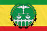 Ethiopia 1992 Transitional Flag with Rope & Toggle