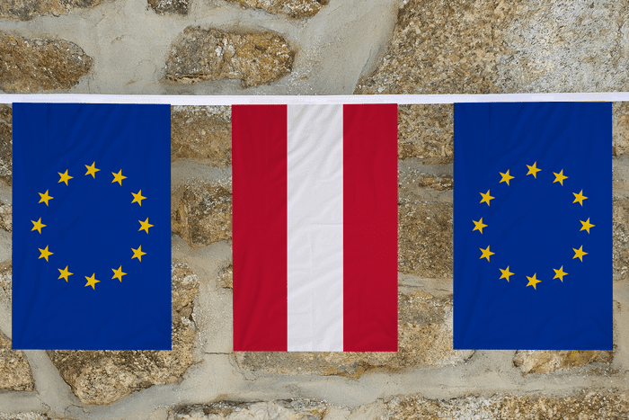 European Union and EU Countries Friendship Flag Bunting - Premium Quality