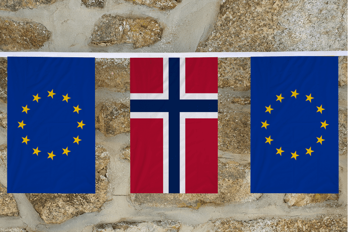 European Union and Non-EU Countries Friendship Flag Bunting - Premium Quality