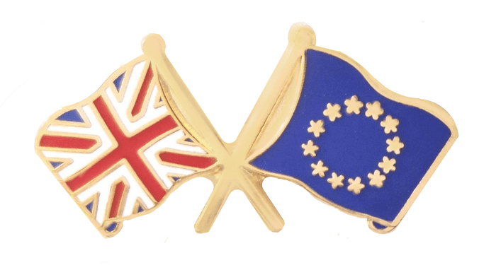 European Union EU and United Kingdom UK Friendship Flag Pin Badge
