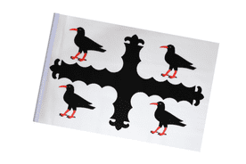 Flintshire County Wales Small Craft Flag