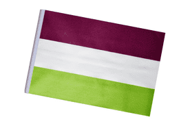 Genderqueer (GQ) Non-Binary Pride LGBTQ+ Small Craft Flag
