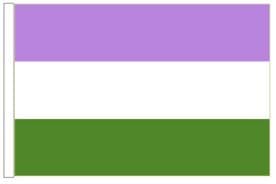 Genderqueer (GQ) Non-Binary Pride18" x 12" (45cm x 30cm) Sleeved Boat Flag