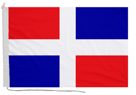 Georgia National Guard Flag with Rope & Toggle