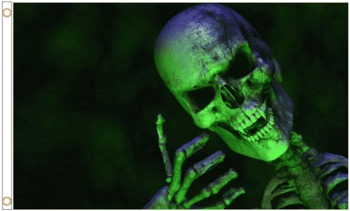 Ghoulish Green Skull Gothic Polyester 5'x3' Flag