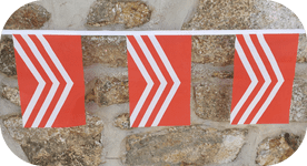 Glamorgan Morgannwg Flag Bunting