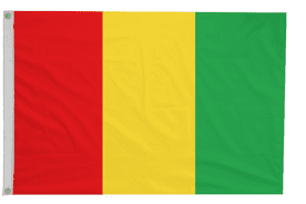 Guinea Flag with Eyelets
