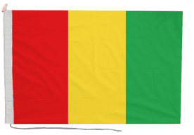Guinea Flag with Rope & Toggle